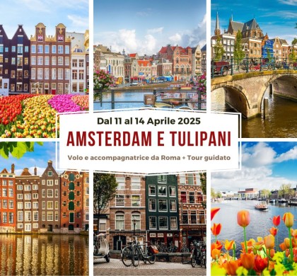 Amsterdam E Tulipani