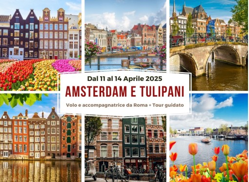 Amsterdam E Tulipani